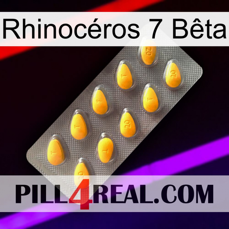 Rhinocéros 7 Bêta cialis1